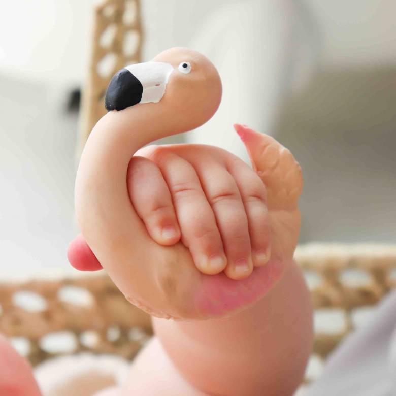 Sky The Flamingo - Natural Rubber Teething Toy 0+