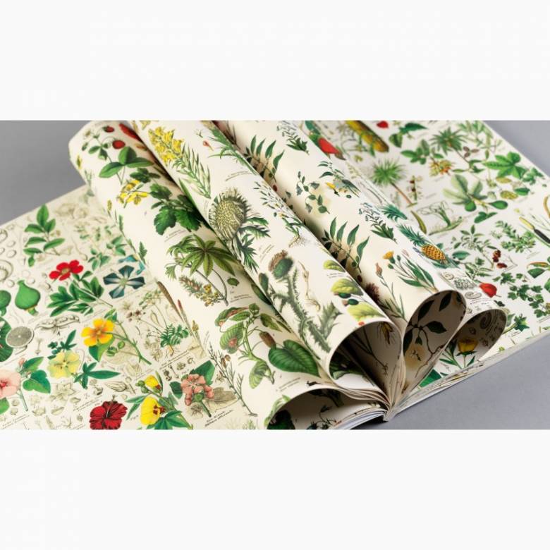 Flora - Pepin Book Of Giftwrap