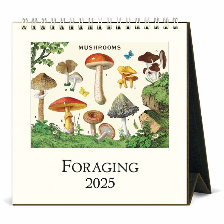 Foraging Desktop Calendar by Cavallini 2025