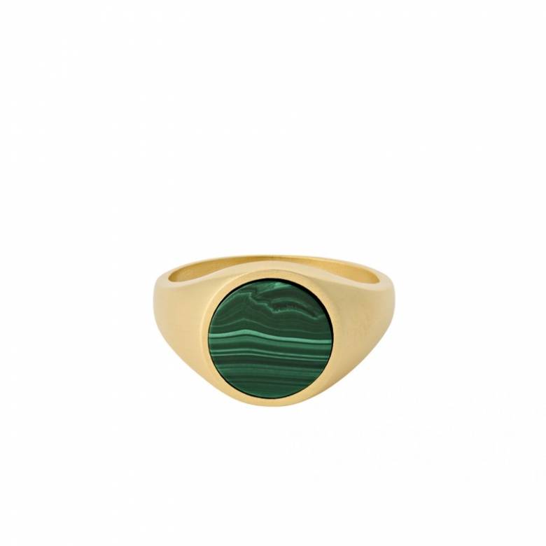 Forest Signet Ring In Gold S52 By Pernille Corydon