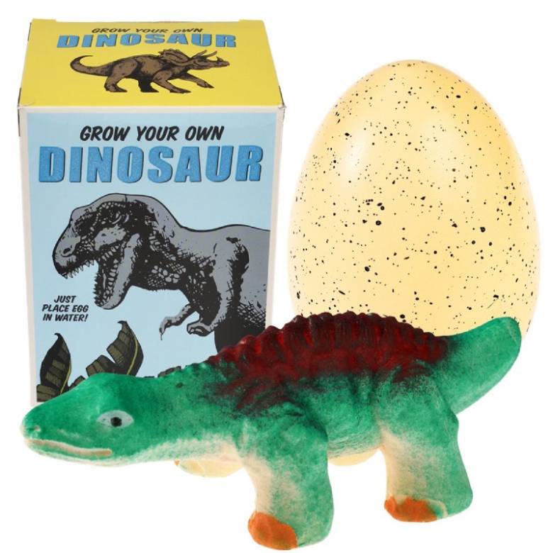 Giant Hatching Dinosaur Egg 3+