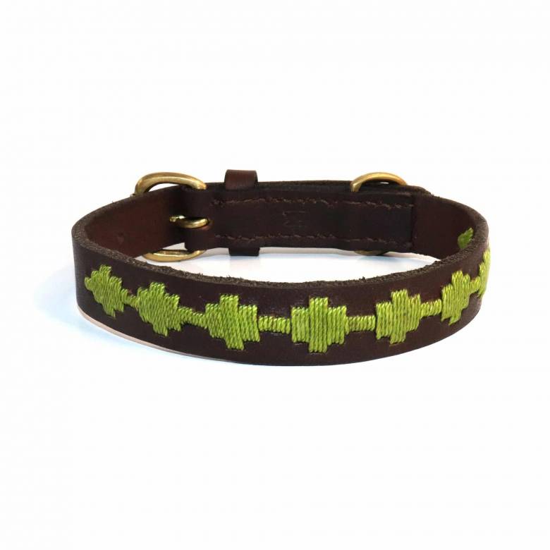 Bark Leather Dog Collar In Grass - Extra Large