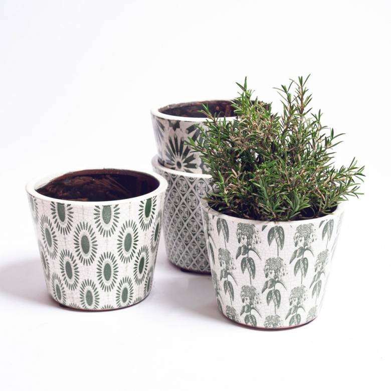 Green & White Patterned Flower Pot - Assorted Designs