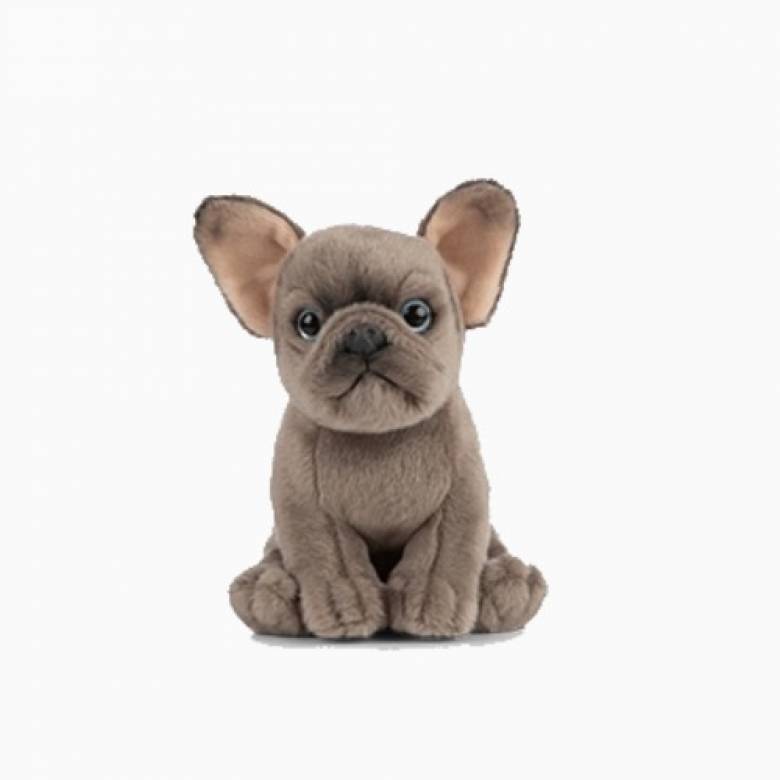 Grey French Bulldog Puppy Soft Toy 0+