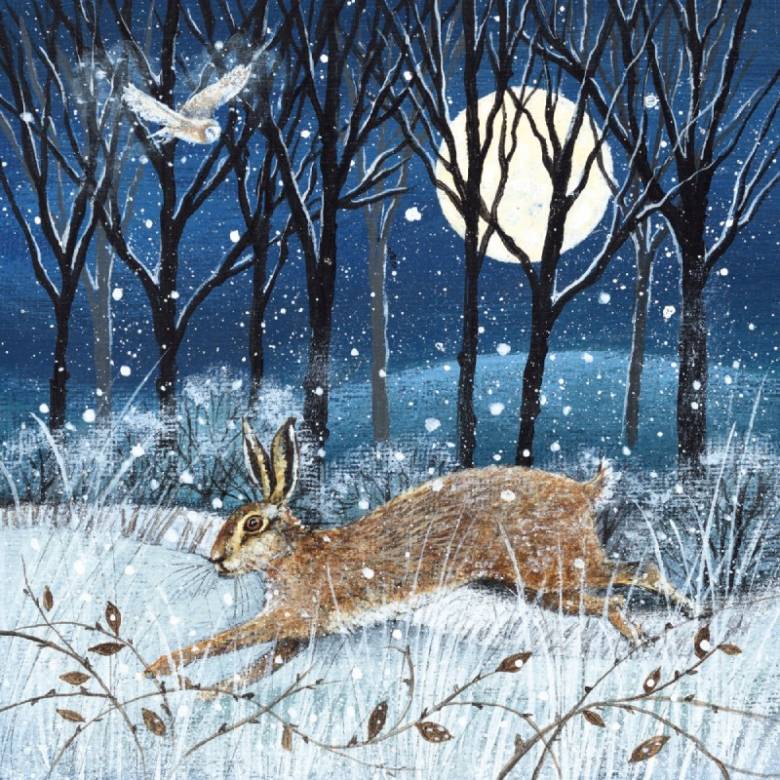 Hare, Moon & Owl - Pack Of 8 Christmas Cards