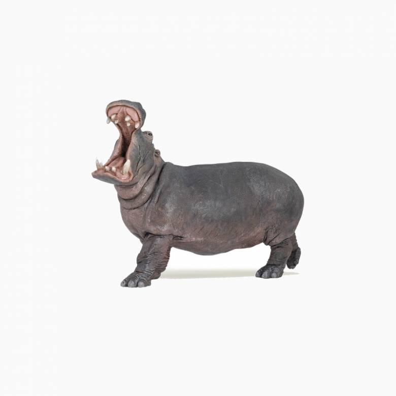 Hippopotamus - Papo Wild Animal Figure