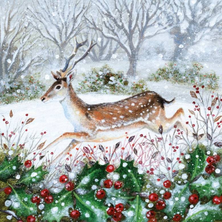 Holly & Deer - Pack Of 8 Christmas Cards