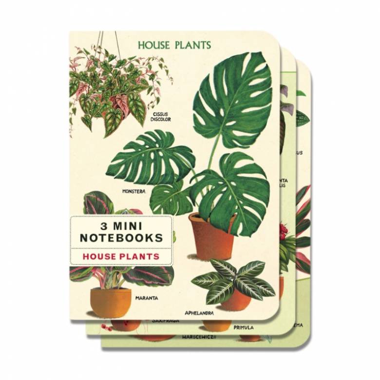 House Plants - Set Of 3 Mini Notebooks