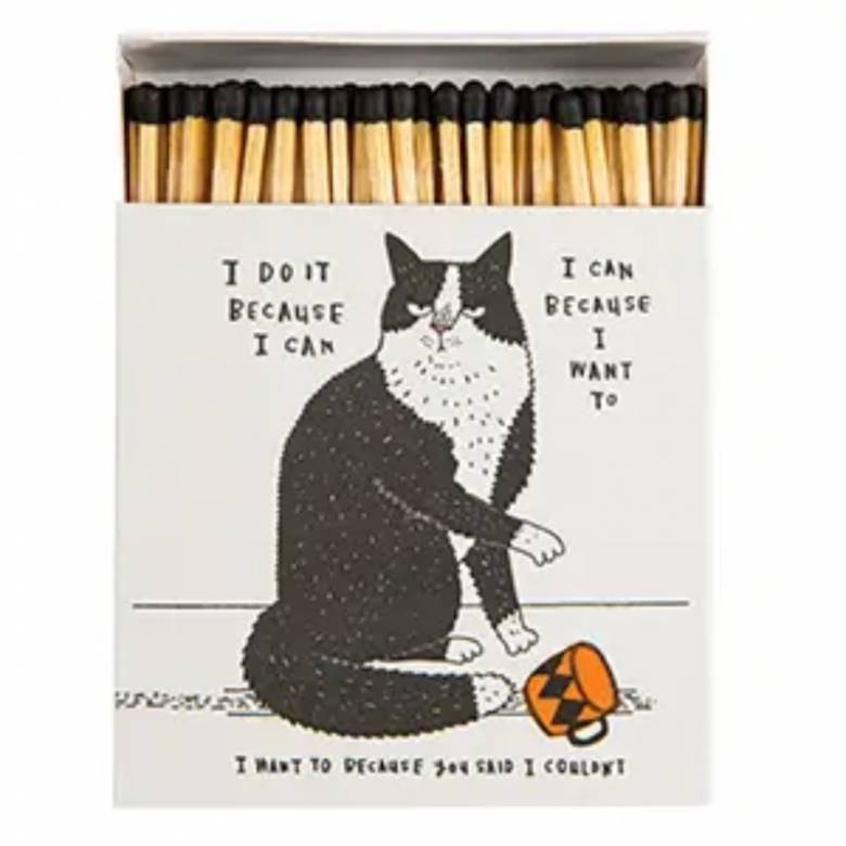 I Do It Because I Can - Square Box Of Safety Matches