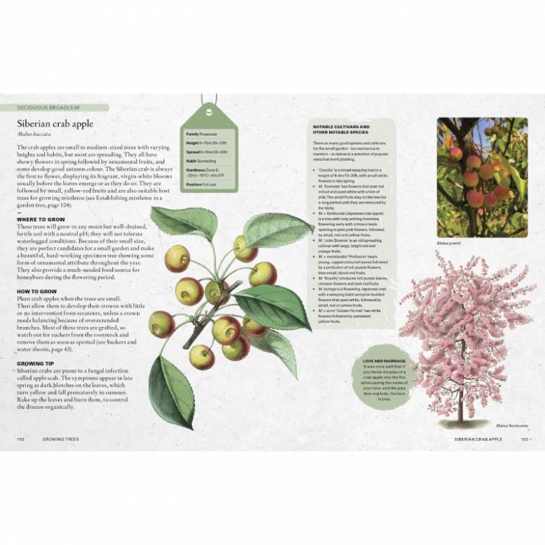 Kew Gardener's Guide To Growing Trees - Hardback Book