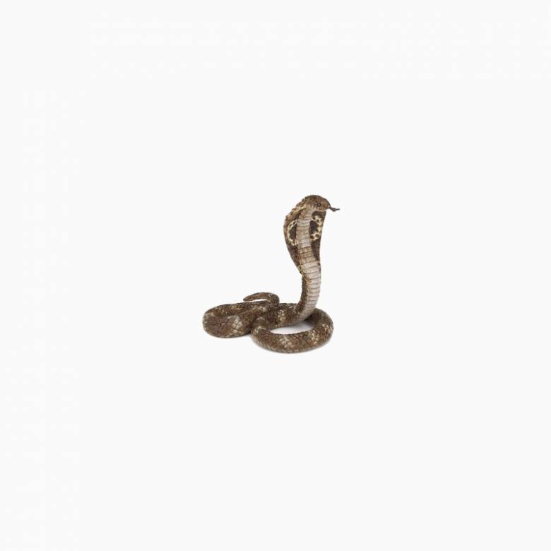 King Cobra Snake - Papo Wild Animal Figure