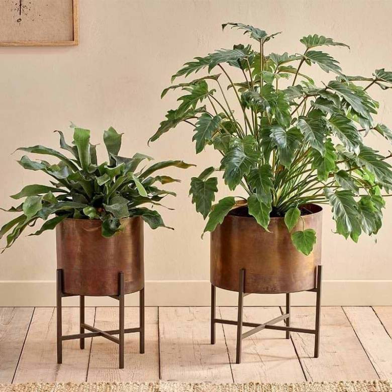Large Juoni Iron Planter In Aged Antique Brass