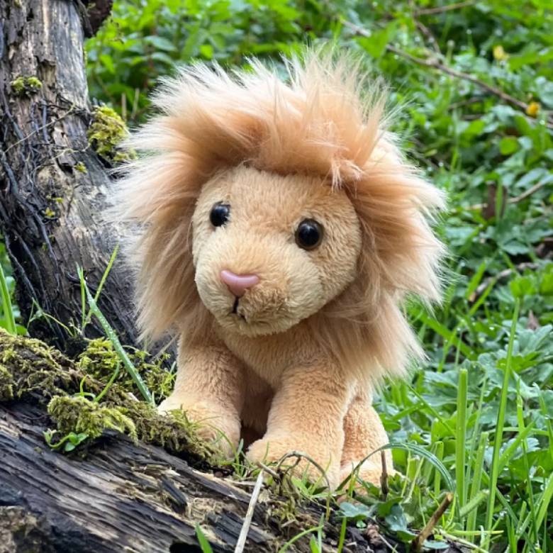 Lion Cuddle Cub Soft Toy 0+