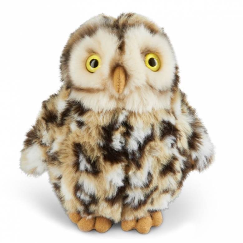 Little Owl Soft Toy 0+