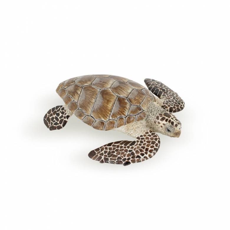 Loggerhead Turtle - Papo Animal Figure