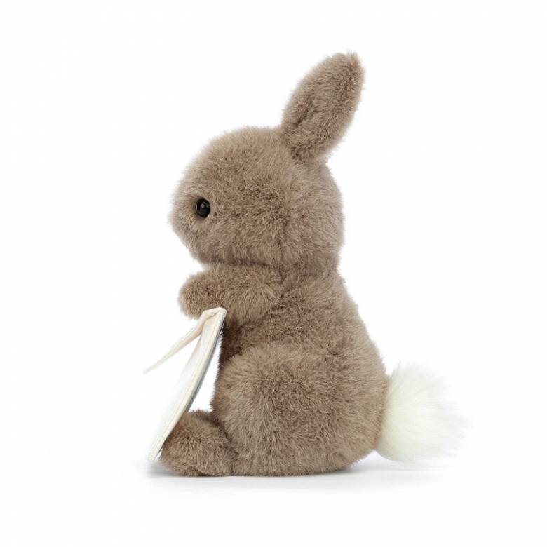Messenger Bunny Soft Toy By Jellycat 1+
