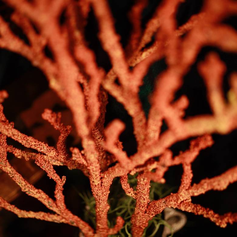 Faux Single Stem Large Orange Coral Branch Spray