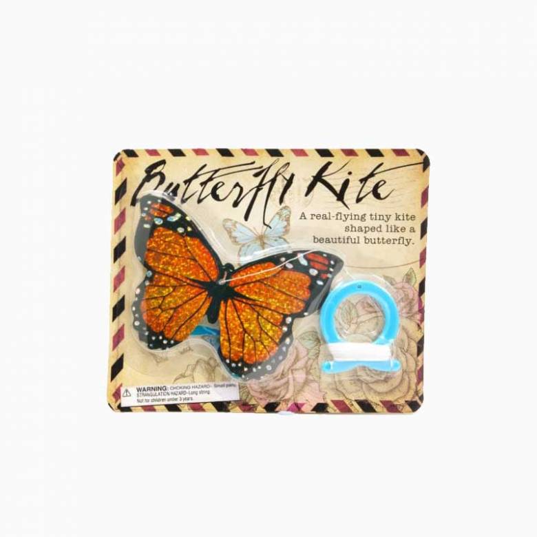 Mini Butterfly Kite 3+