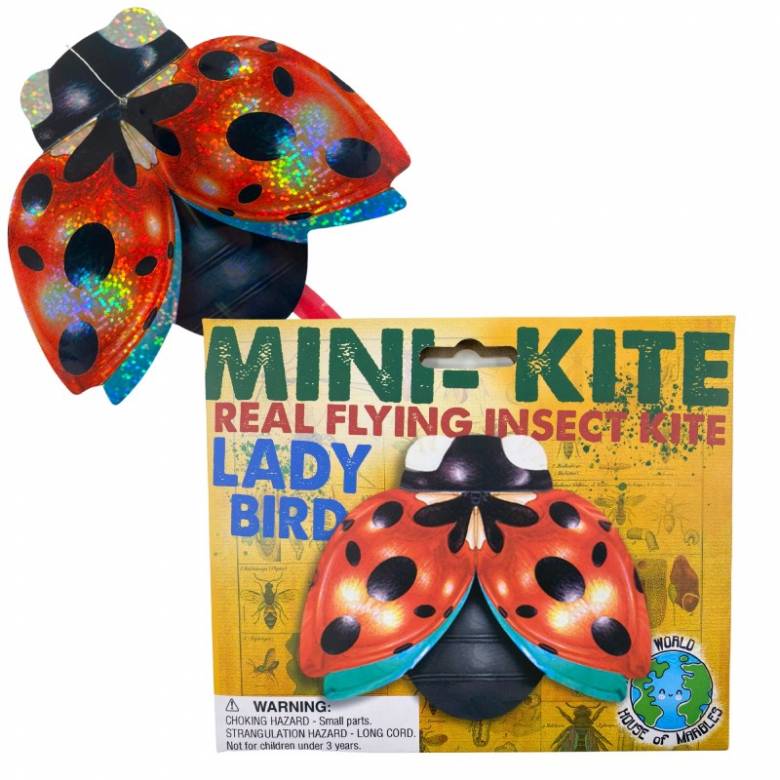 Mini Flying Insect Kite 3+