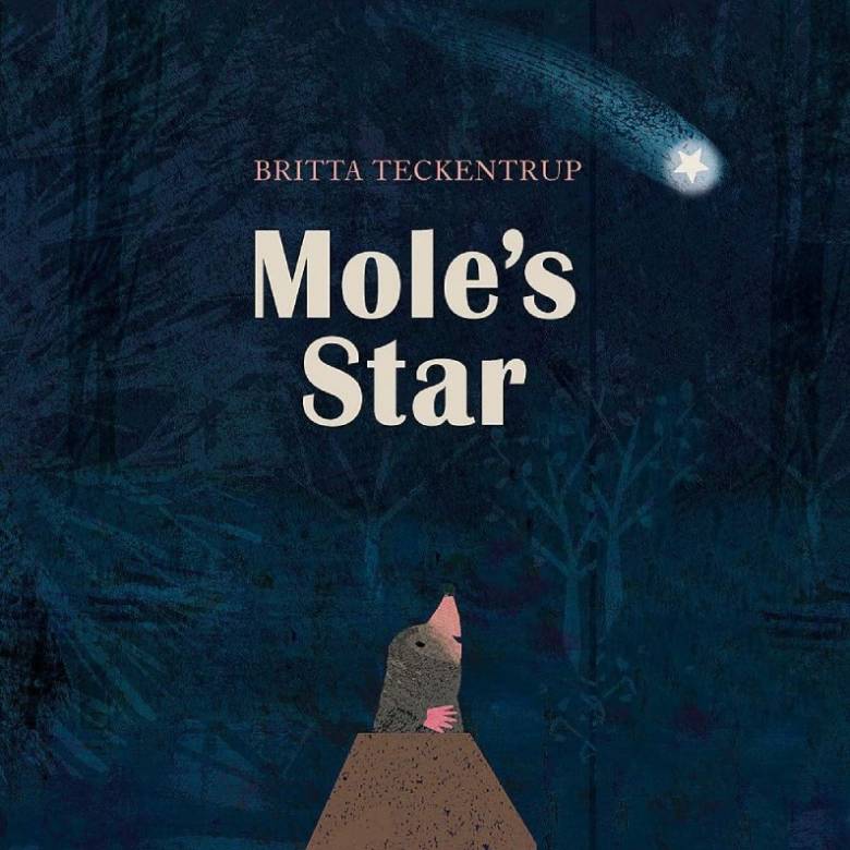 Mole's Star By Britta Teckentrup - Paperback Book