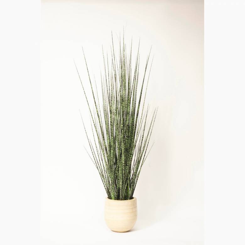 Faux Mottled Onion Grass in Planter H:90cm
