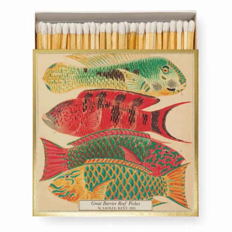 Natural History Museum Fish - Square Box Of Safety Matches