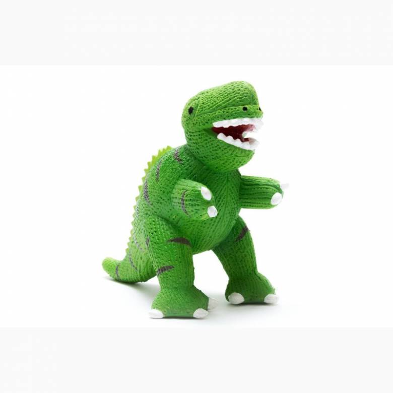 Natural Rubber Green T Rex Dinosaur Bath & Teether Toy 0+