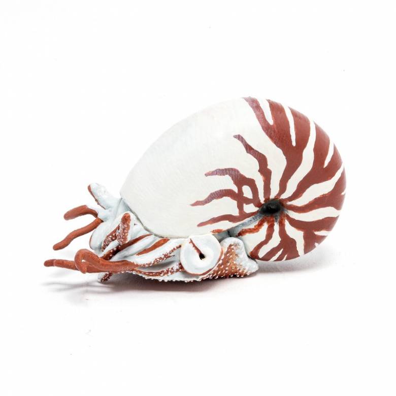 Nautilus - Papo Animal Figure