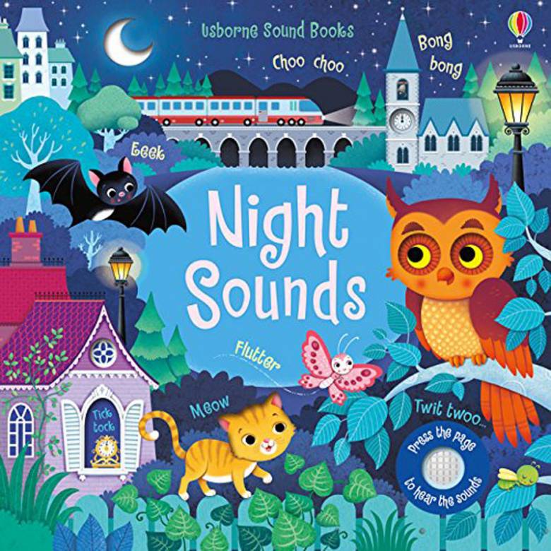 Night Sounds Noisy Book - Hardback Book