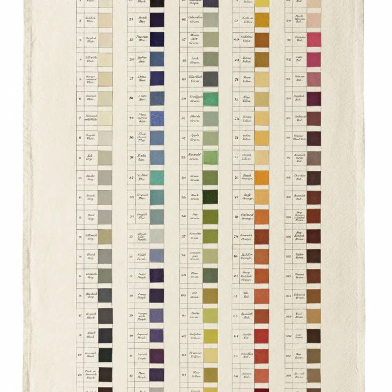 Nomenclature Of Colours - Organic Cotton Tea Towel