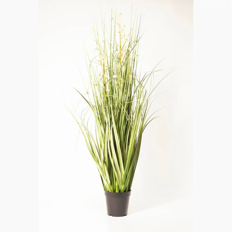 Faux Onion Grass Plant With Flowers In Black Pot H:98cm