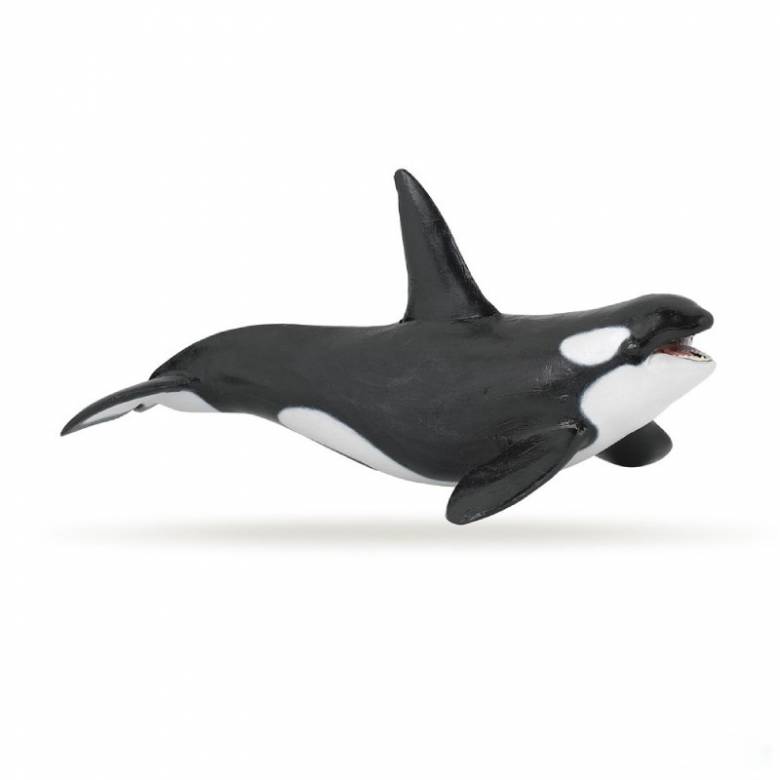 Orca Whale  - Papo Wild Animal Figure
