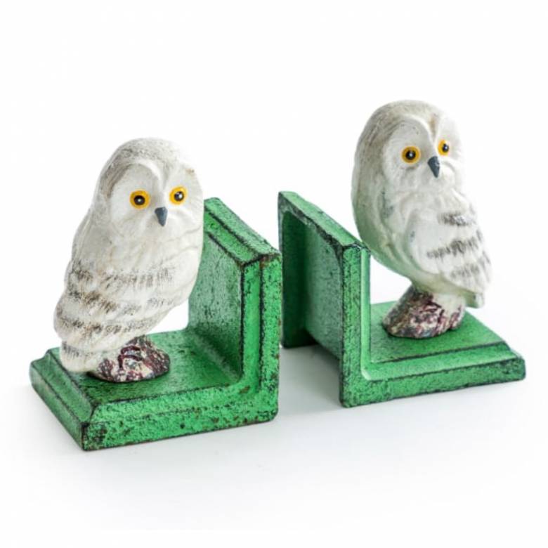 Pair Of Cast Iron Owl Bookends