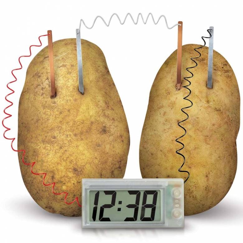 Potato Clock Green Science Kit 5+