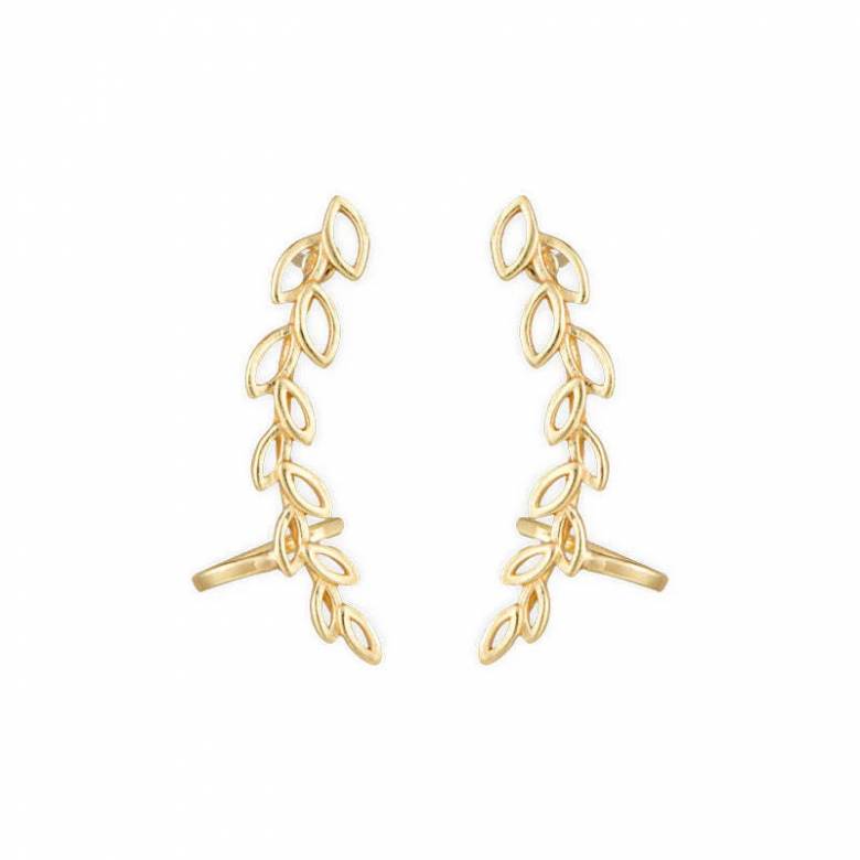 Pritee Ear Climber Stud Earrings In Gold