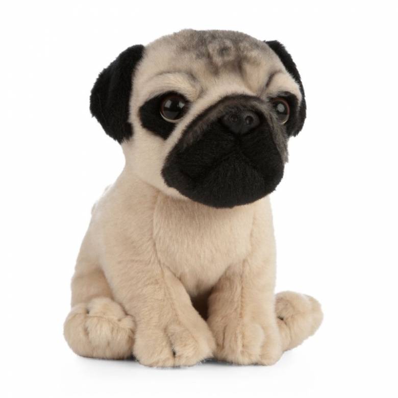 Pug Puppy Soft Toy 0+