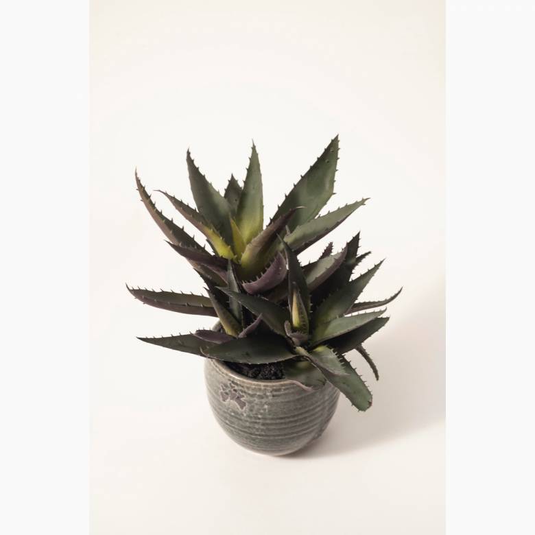 Small Faux Purple Aloe Plant In Clay Pot H:30cm