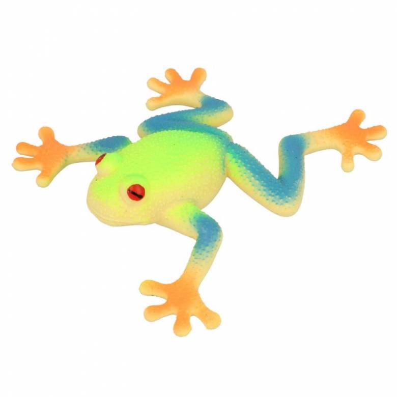 Red Eyed Tree Frog Stretchy Beanie Animal Toy 3+