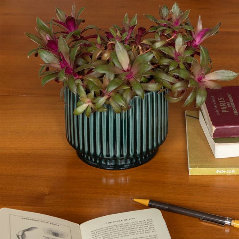 Ribbed Flower Pot In Dark Green