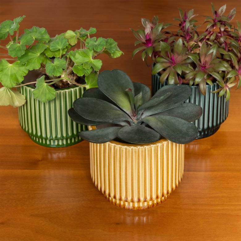 Ribbed Flower Pot In Mustard