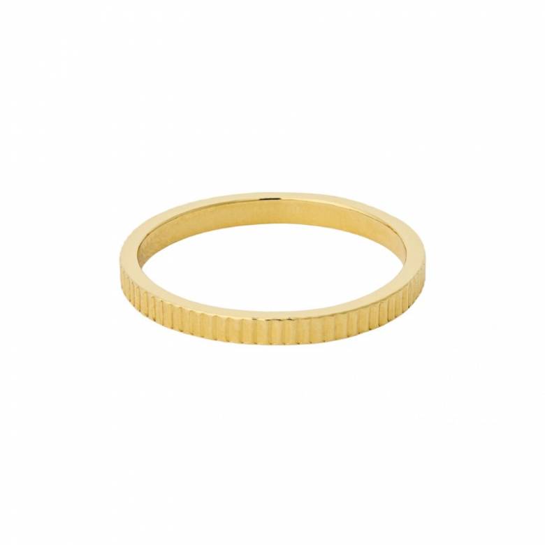 Sea Reflection Ring In Gold S55 By Pernille Corydon
