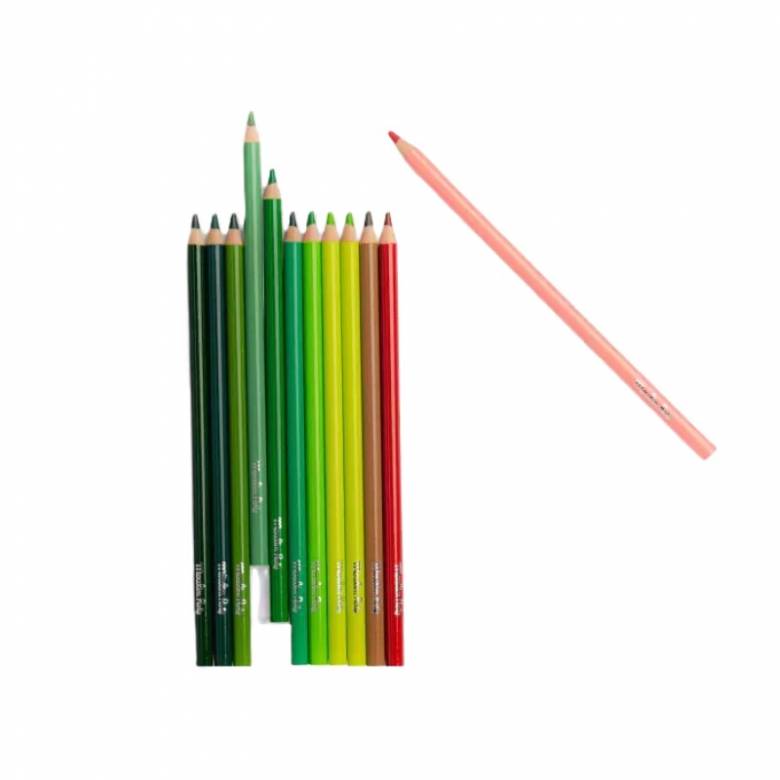 Set Of 12 Nature Colouring Pencils With Cards By Moulin Roty 3+
