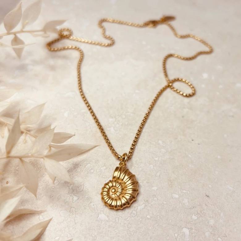Shell Pendant Necklace In Gold