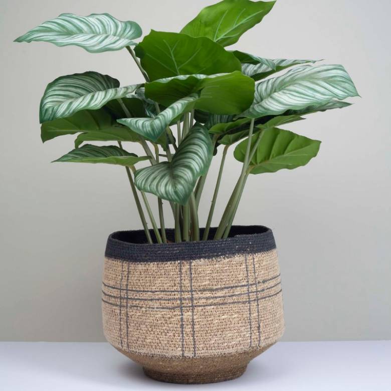 Short Basket With Black Stripes & Green Base H:21cm