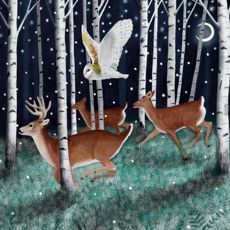 Silver Birch Forest - Pack Of 8 Christmas Cards