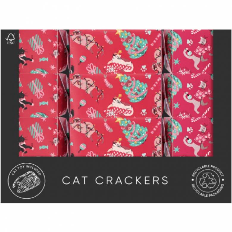 Single Cat Craft Christmas Cracker