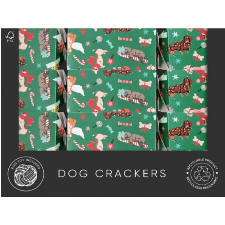 Single Dog Craft Christmas Cracker