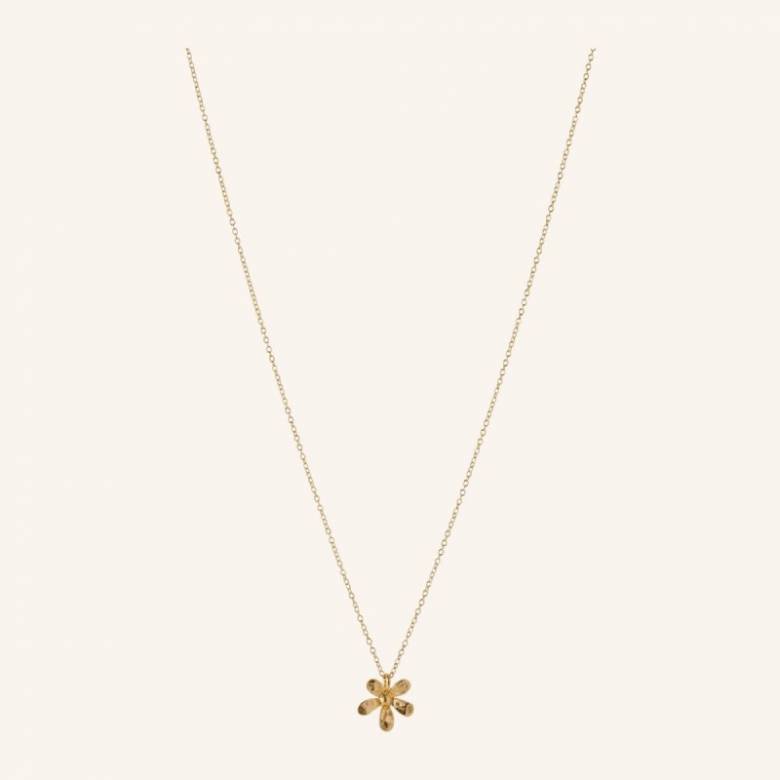 Single Wild Poppy Necklace In Gold By Pernille Corydon