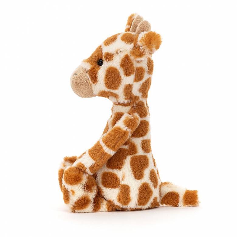 Small Bashful Giraffe Soft Toy By Jellycat 1+