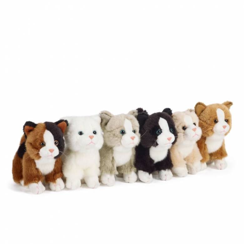 Small Cat Soft Toy 0+